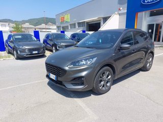 FORD Kuga 1.5 ECOBLUE 120 CV 2WD ST-LINE X